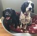 Doreen Cross - Facebook