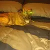 doreencunning423 - @doreencunningham6 - TikTok