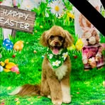 Doreen Day - Facebook