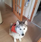 Doreen Docherty - Facebook