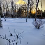 Doreen Donovan - Facebook