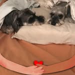 Doreen Donovan DiVita - @doreendivita - Instagram