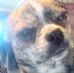 Doreen Edwards - Facebook