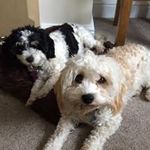 Doreen Edwards - @doreen_edwards - Instagram