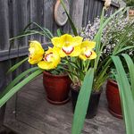Doreen Edwards - @doreenedwards4 - Instagram