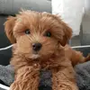 doreenengel - @doreenengel - TikTok