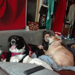 Doreen Ernst - Facebook