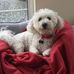 Doreen Farrell - Facebook