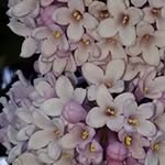 Doreen Fish - @doreenfish - Instagram