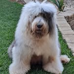 Doreen Fisher - @doreenfisher - Instagram