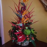 Doreen H Fitzpatrick - @doreen.h.fitzpatrick - Instagram