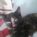 Doreen Goss - @doreen.goss.5 - Instagram