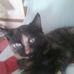 Doreen Goss - Facebook