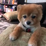 Anna Doreen de Guzman - @adoreen45 - Instagram