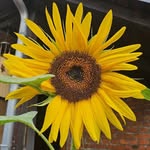 Doreen Krost - @doreen.hahn.111 - Instagram