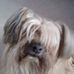 Doreen Harding - Facebook