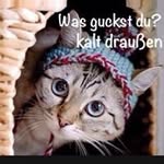 Doreen Heller - @doreenheller - Instagram