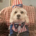Doreen Heller - @journey_with_jessie_may - Instagram