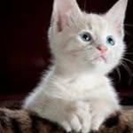 Doreen Herrmann - @momofefi458 - Instagram