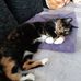 Doreen Herrmann - Facebook