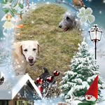 Doreen Hill - @doreen.hill.92 - Instagram