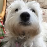 Doreen Hill - @doreenhill6181 - Instagram