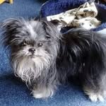 Doreen Hill - @doreen.hill.739 - Instagram