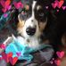 Doreen Holt - Facebook
