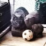 Doreen Howard - @doreenhoward53 - Instagram