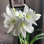 Doreen Hunt - @no1batter8 - Instagram