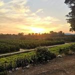 Doreen Ingram Mendelson - @dippyduckkzn - Instagram