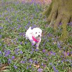 Doreen King - @johnanddoreen12 - Instagram