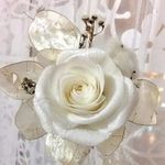 Doreen Lang - @doreenlang49 - Instagram