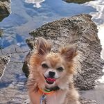Doreen Lang - @doreen.lang.52 - Instagram