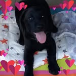 Doreen Lange - @doreenlange72 - Instagram