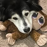 Doreen Pappas Lang - @doreen_lang - Instagram