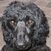 Doreen Mclaughlin - Facebook