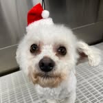 Doreen O Leary - @learydoreeno - Instagram