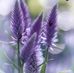 Doreen Lindsay - Facebook