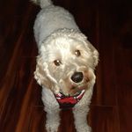 Doreen Byrne Lynch - @doreenbyrnelynch - Instagram