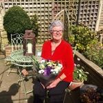 Doreen Mansfield - @mansfielddoreen - Instagram