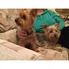 Doreen Marshall680 - @doreenmarshall777 - TikTok