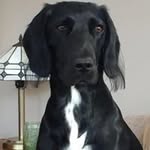 Doreen Marshall - @doreen.marshall - Instagram