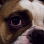 Doreen Mason - @dhmason101 - Instagram