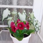 Doreen Mason - Facebook