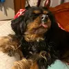 doreenmcbride3 - @doreenmcbride3 - TikTok