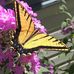 Doreen McLean - Facebook