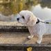 Doreen Mitchell - Facebook