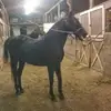 doreenmitchell469 - @doreenmitchell469 - TikTok