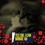 Doreen Morrison - @doreen.morrison.7 - Instagram
